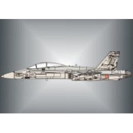 CALCAS EF-18 HORNET ALA Nº15 (75.000 horas) 1/32 - Series Españolas SE1132