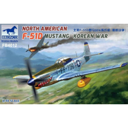 NORH AMERICAN F-51 D MUSTANG (KOREA) -Escala 1/48- Bronco Models FB4012