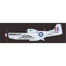 NORH AMERICAN F-51 D MUSTANG (KOREA) -Escala 1/48- Bronco Models FB4012