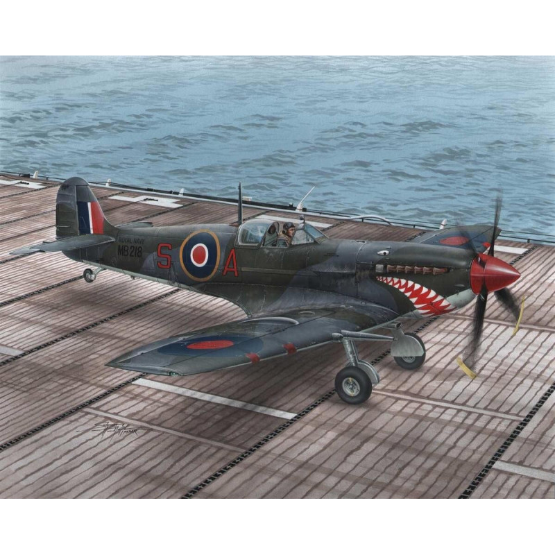 SUPERMARINE SEAFIRE MK.II TORCH - ESCALA 1/48 - SPECIAL HOBBY 48102