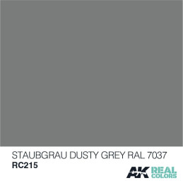 PINTURA REAL COLORS DUSTY GREY RAL7037 (10 ml) - AK Interactive RC215