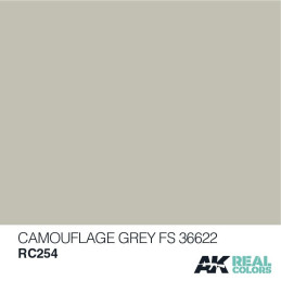 PINTURA REAL COLORS CAMOUFLAGE GREY  (10 ml) - AK Interactive RC254