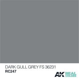 PINTURA REAL COLORS DARK GULL GREY  (10 ml) - AK Interactive RC247