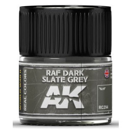 PINTURA REAL COLORS RAF DARK SLATE GREY (10 ml) - AK Interactive RC294