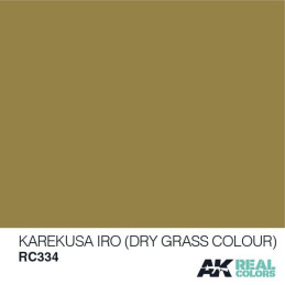 PINTURA REAL COLORS KAREKUSA IRO - Dry Grass Colour (10 ml) - AK RC334