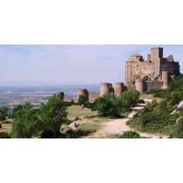 CASTILLO DE LOARRE (530 x 650 x 300 mm) 1/200