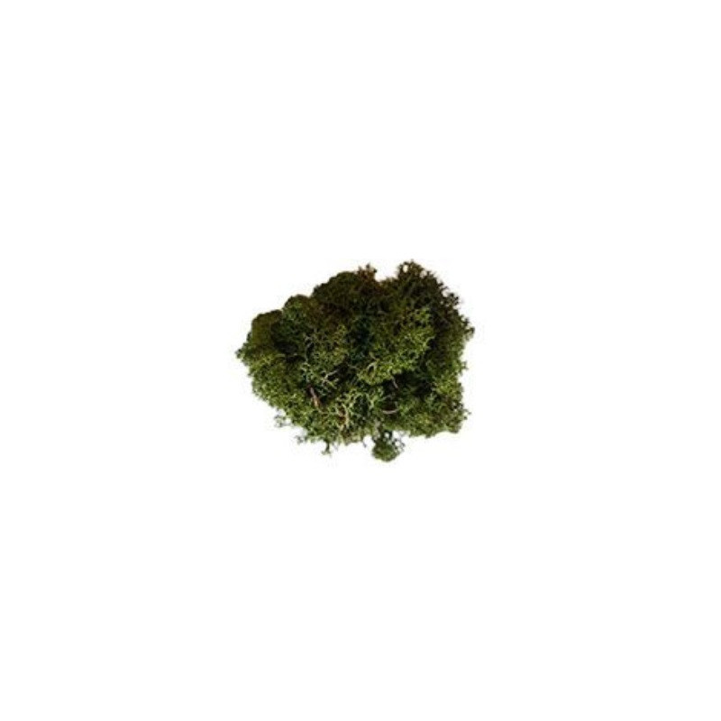 MUSGO NATURAL VERDE OSCURO (50gr) - KERANOVA 601050