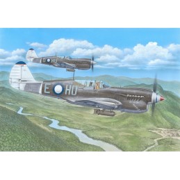 CURTISS KITTYHAWK MK-IV "Over the Mediterranean and the Pacific" -Escala 1/72- Special Hobby SH72484
