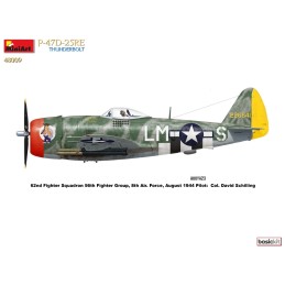 REPUBLIC P-47 D-25RD THUNDERBOLT -Escala 1/48- MiniArt 48009