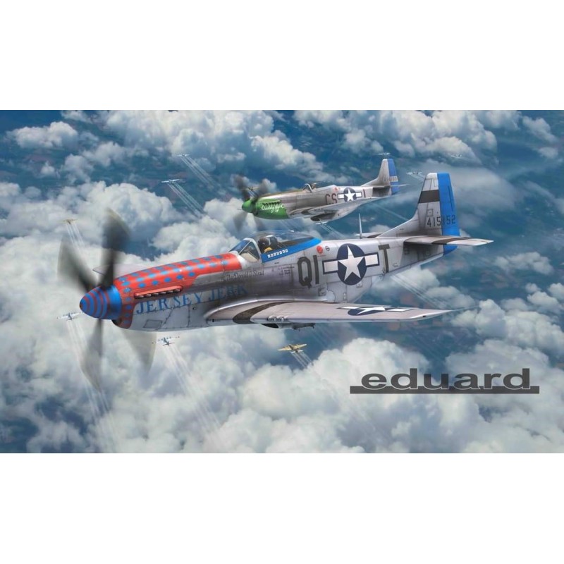 NORTH AMERICAN P-51 D MUSTANG "Aces of the Eighth" DUAL COMBO -Escala 1/72-  Eduard 2147