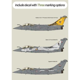 DASSAULT RAFALE C "EC 1/7 PROVENCE 2012" -Escala 1/48- Academy 12346