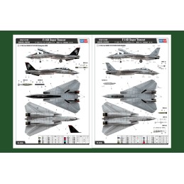 GRUMMAN F-14 D TOMCAT -Escala 1/48- Hobby Boss 80368