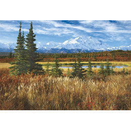 PUZZLE 1500 PZAS PARQUE NACIONAL DENALI  (850 X 600 MM)