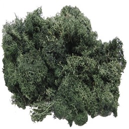 MUESGO VERDE OSCURO (100 gr) - Keranova 601100