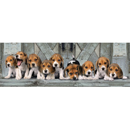 PUZZLE 1000 PZS PANORAMA BEAGLES - CLEMENTONI 39435