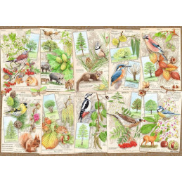 PUZZLE 1000 Pzas EBOLES MARAVILLOSOS -Ravensburger 16421