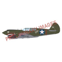 CURTISS P-40E Warhawk "Pacific Stars" DUAL COMBO -Escala 1/48- Eduard 11185