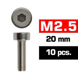 TORNILLO ACERO C/ALLEN (M2,5 x 20 mm)