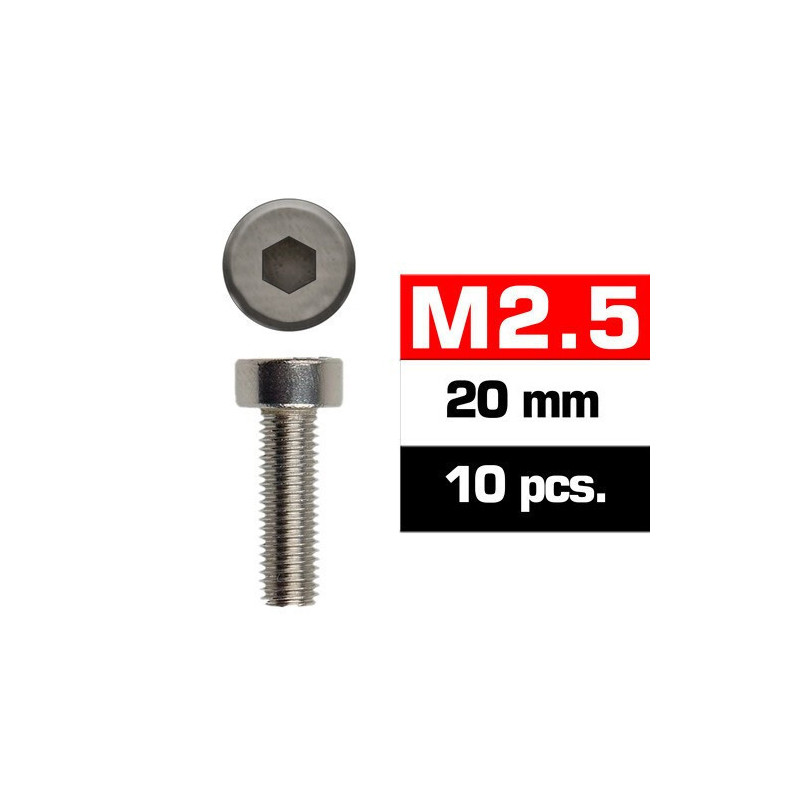 TORNILLO ACERO C/ALLEN (M2,5 x 20 mm)