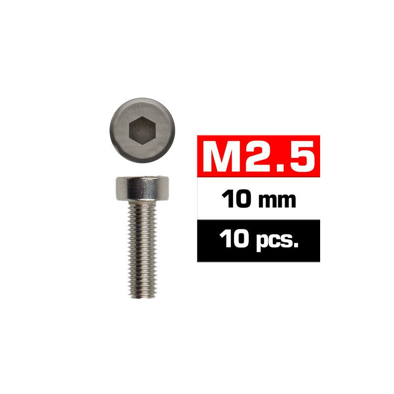 TORNILLO ACERO C/ALLEN (M2,5 X 10 mm) 10 unidades